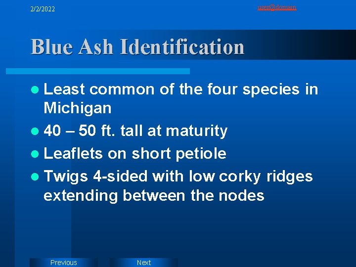 user@domain 2/2/2022 Blue Ash Identification l Least common of the four species in Michigan