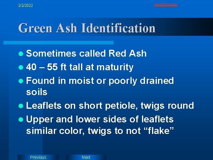 user@domain 2/2/2022 Green Ash Identification l Sometimes called Red Ash l 40 – 55