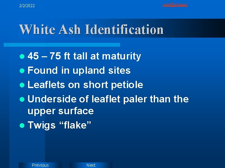 user@domain 2/2/2022 White Ash Identification l 45 – 75 ft tall at maturity l