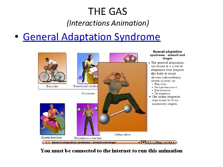 THE GAS (Interactions Animation) • General Adaptation Syndrome You must be connected to the