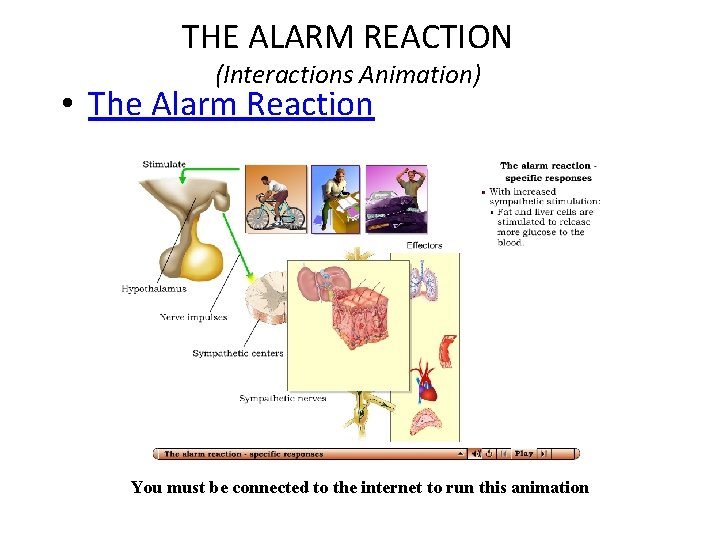 THE ALARM REACTION (Interactions Animation) • The Alarm Reaction You must be connected to