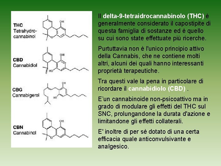 Il delta-9 -tetraidrocannabinolo (THC) è generalmente considerato il capostipite di questa famiglia di sostanze