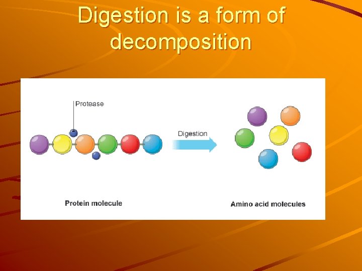 Digestion is a form of decomposition 