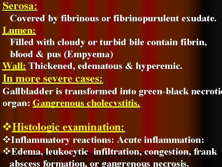 Serosa: Covered by fibrinous or fibrinopurulent exudate. Lumen: Filled with cloudy or turbid bile