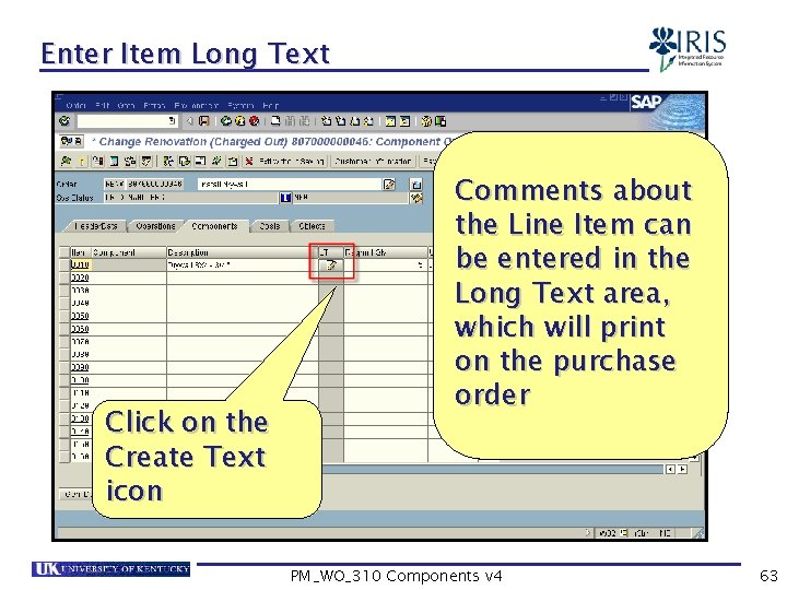 Enter Item Long Text Click on the Create Text icon Comments about the Line