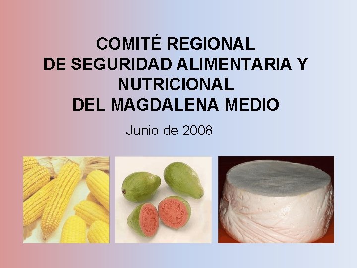 COMITÉ REGIONAL DE SEGURIDAD ALIMENTARIA Y NUTRICIONAL DEL MAGDALENA MEDIO Junio de 2008 