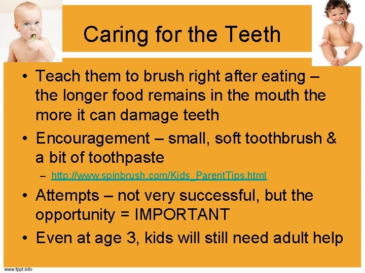 Caring for the Teeth • Teach them to brush right after eating – the