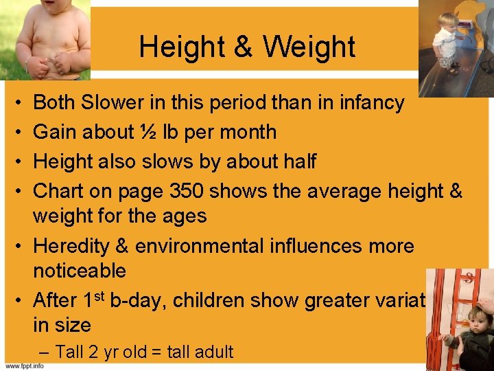 Height & Weight • • Both Slower in this period than in infancy Gain