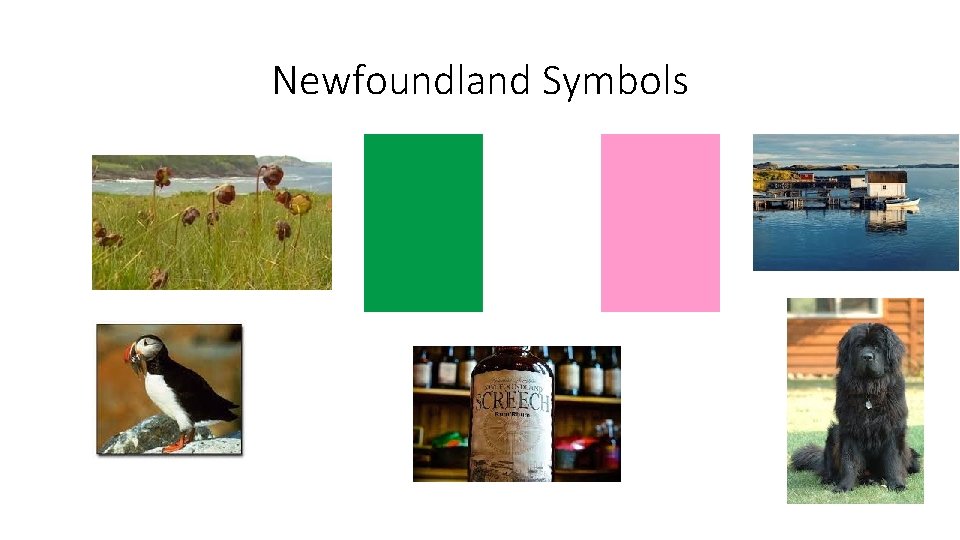 Newfoundland Symbols 