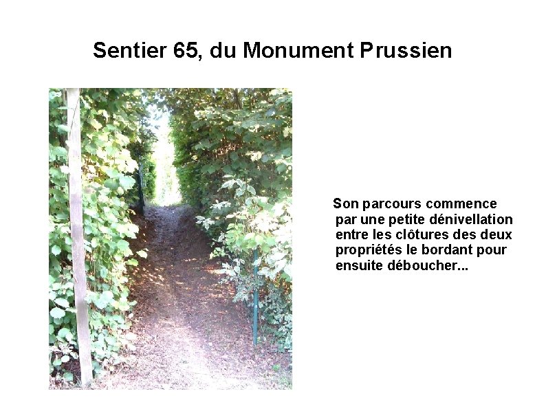 Sentier 65, du Monument Prussien Son parcours commence par une petite dénivellation entre les