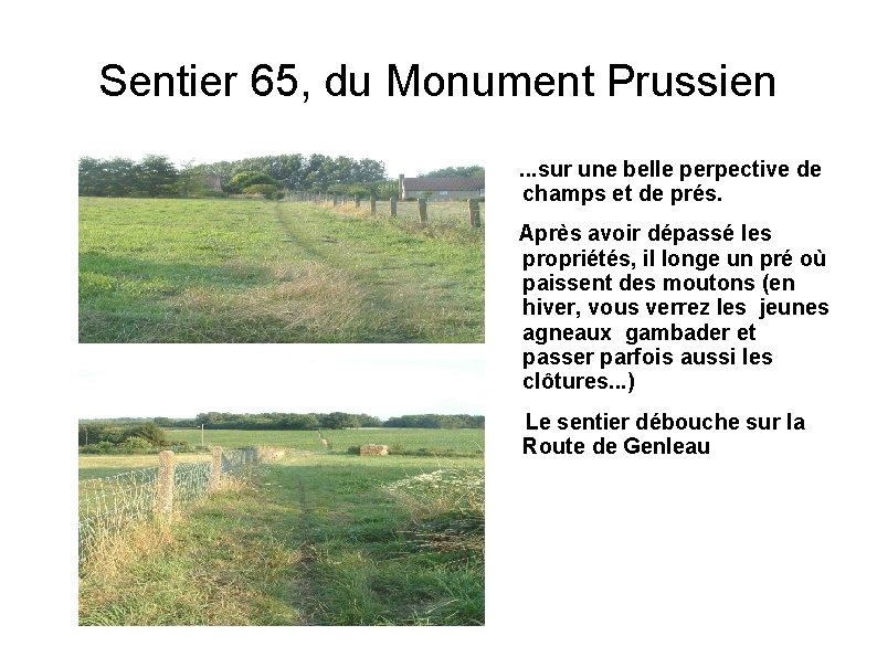 Sentier 65, du Monument Prussien. . . sur une belle perpective de champs et