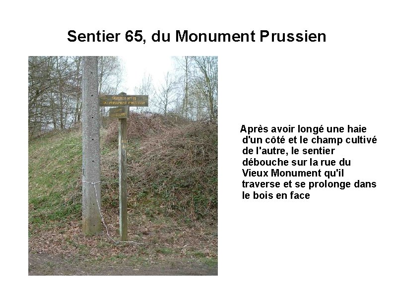 Sentier 65, du Monument Prussien Après avoir longé une haie d'un côté et le