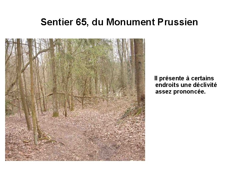 Sentier 65, du Monument Prussien Il présente à certains endroits une déclivité assez prononcée.