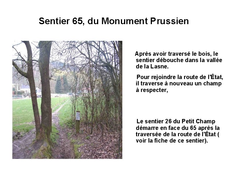 Sentier 65, du Monument Prussien Après avoir traversé le bois, le sentier débouche dans