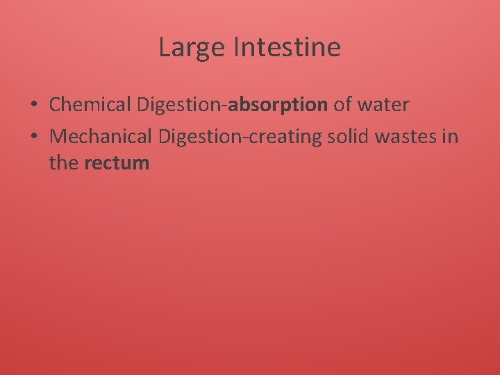 Large Intestine • Chemical Digestion-absorption of water • Mechanical Digestion-creating solid wastes in the