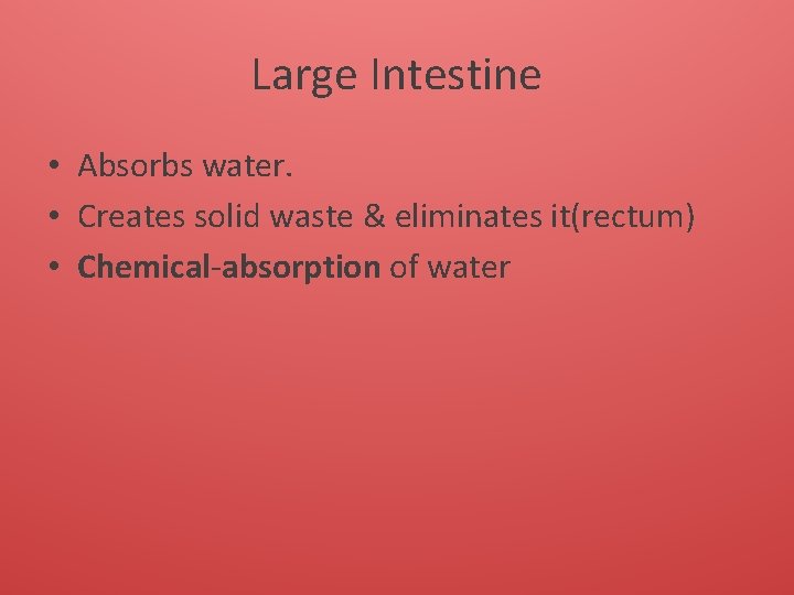 Large Intestine • Absorbs water. • Creates solid waste & eliminates it(rectum) • Chemical-absorption