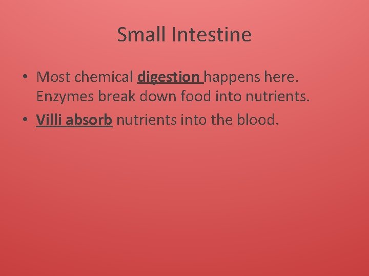 Small Intestine • Most chemical digestion happens here. Enzymes break down food into nutrients.