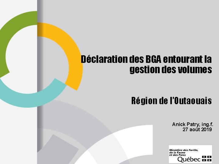 Déclaration des BGA entourant la gestion des volumes Région de l’Outaouais Anick Patry, ing.