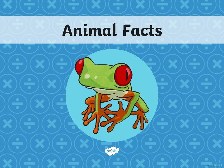 Animal Facts 