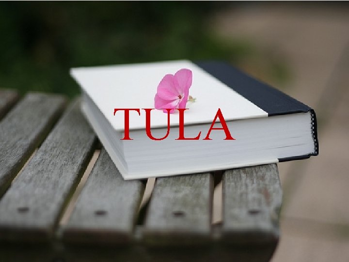 TULA 