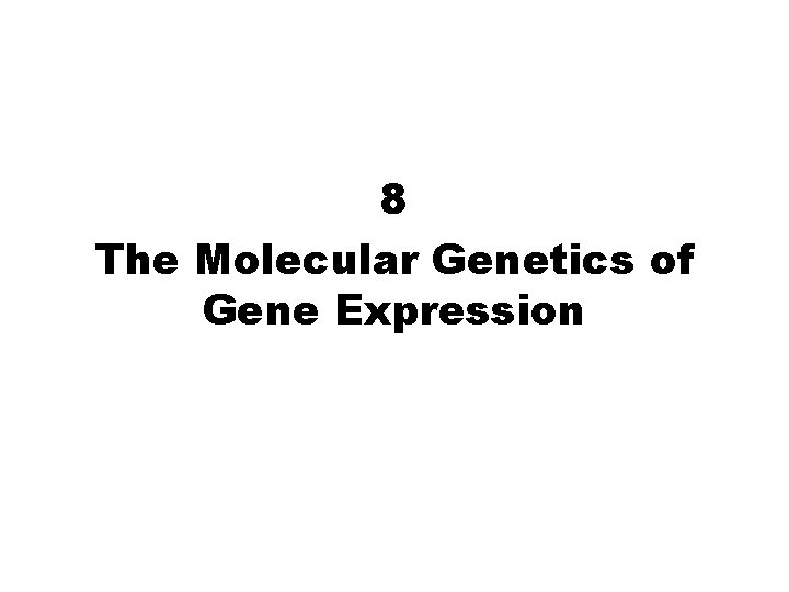 8 The Molecular Genetics of Gene Expression 