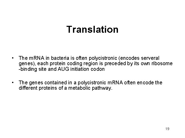 Translation • The m. RNA in bacteria is often polycistronic (encodes serveral genes), each