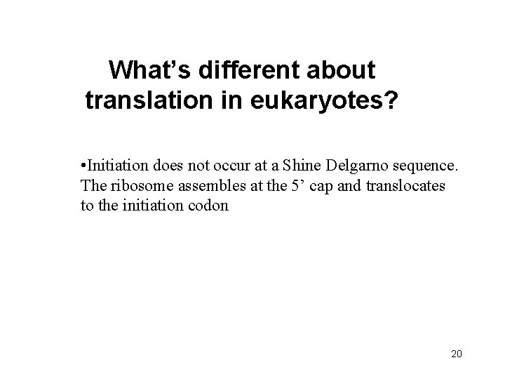What’s different about translation in eukaryotes? • Initiation does not occur at a Shine
