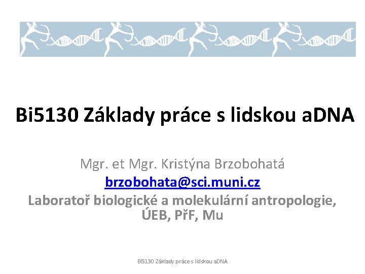 Bi 5130 Základy práce s lidskou a. DNA Mgr. et Mgr. Kristýna Brzobohatá brzobohata@sci.