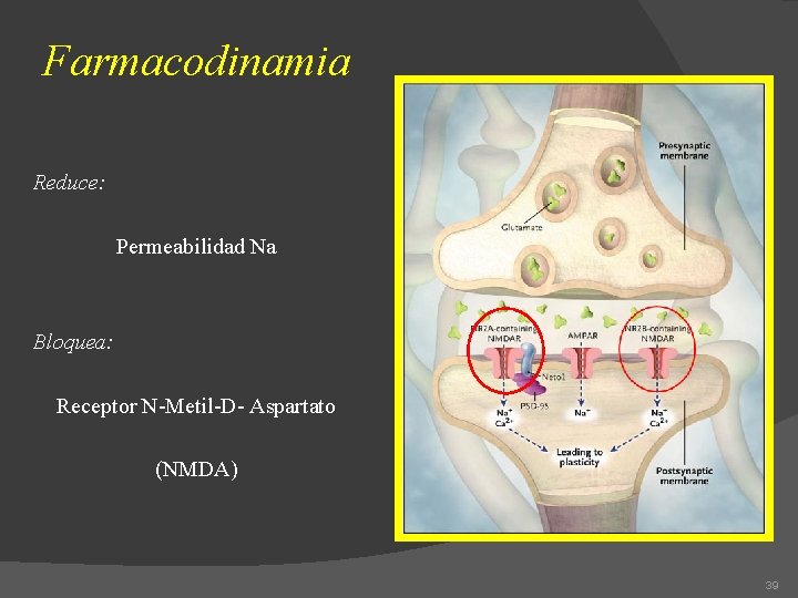 Farmacodinamia Reduce: Permeabilidad Na Bloquea: Receptor N-Metil-D- Aspartato (NMDA) 39 