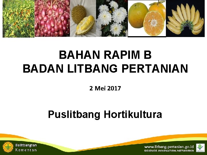 BAHAN RAPIM B BADAN LITBANG PERTANIAN 2 Mei 2017 Puslitbang Hortikultura 