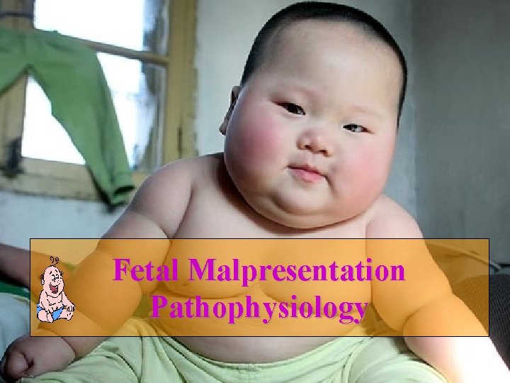 Fetal Malpresentation Pathophysiology 