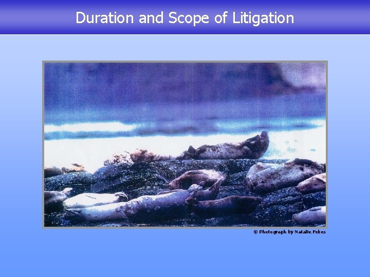 Duration and Scope of Litigation © Photograph by Natalie Fobes 