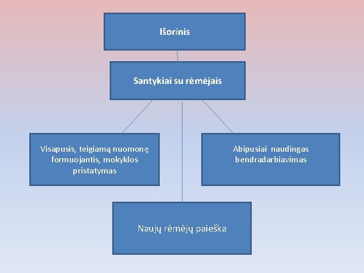 Išorinis Santykiai su rėmėjais Visapusis, teigiamą nuomonę formuojantis, mokyklos pristatymas Naujų rėmėjų paieška Abipusiai