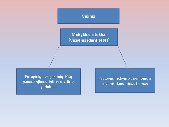 Vidinis Mokyklos ištekliai (Vizualus identitetas) Europinių –projektinių lėšų panaudojimas infrastruktūros gerinimui Pastovus mokymo priemonių