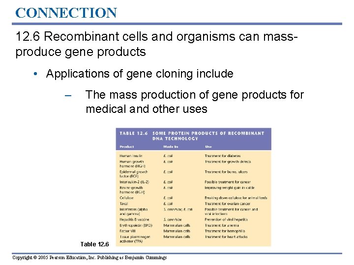 CONNECTION 12. 6 Recombinant cells and organisms can massproduce gene products • Applications of CONNECTION 12. 6 Recombinant cells and organisms can massproduce gene products • Applications of