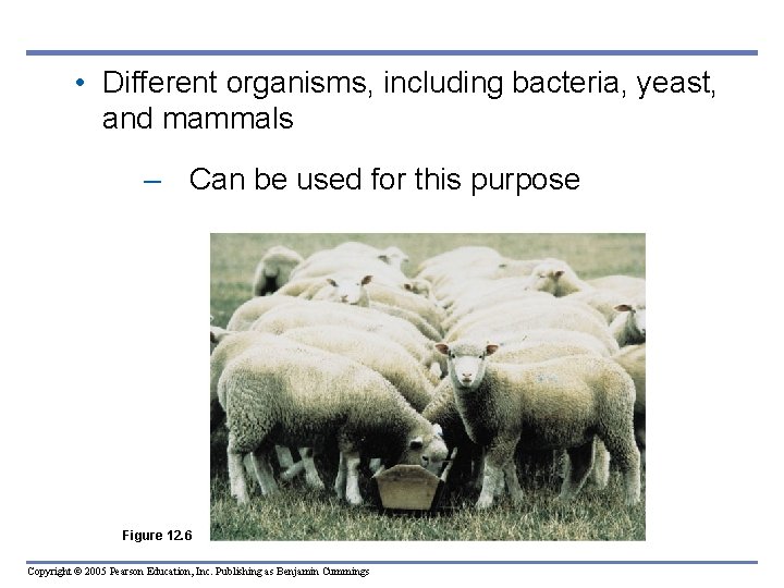• Different organisms, including bacteria, yeast, and mammals – Can be used for • Different organisms, including bacteria, yeast, and mammals – Can be used for
