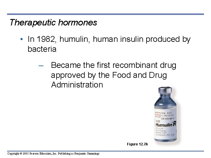 Therapeutic hormones • In 1982, humulin, human insulin produced by bacteria – Became the Therapeutic hormones • In 1982, humulin, human insulin produced by bacteria – Became the