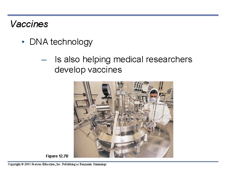Vaccines • DNA technology – Is also helping medical researchers develop vaccines Figure 12. Vaccines • DNA technology – Is also helping medical researchers develop vaccines Figure 12.