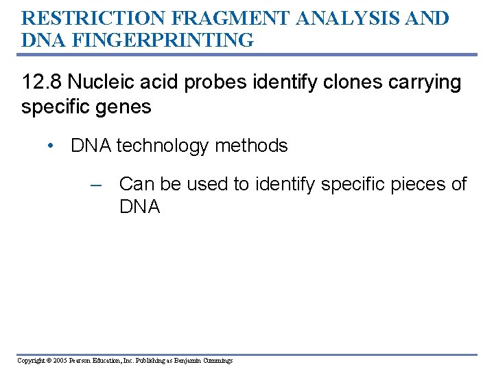 RESTRICTION FRAGMENT ANALYSIS AND DNA FINGERPRINTING 12. 8 Nucleic acid probes identify clones carrying RESTRICTION FRAGMENT ANALYSIS AND DNA FINGERPRINTING 12. 8 Nucleic acid probes identify clones carrying