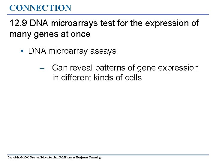 CONNECTION 12. 9 DNA microarrays test for the expression of many genes at once CONNECTION 12. 9 DNA microarrays test for the expression of many genes at once