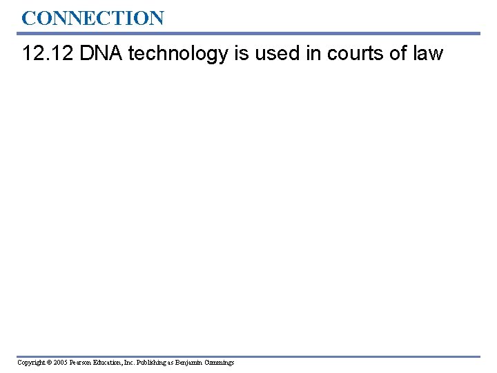 CONNECTION 12. 12 DNA technology is used in courts of law Copyright © 2005 CONNECTION 12. 12 DNA technology is used in courts of law Copyright © 2005