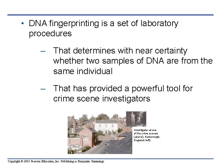 • DNA fingerprinting is a set of laboratory procedures – That determines with • DNA fingerprinting is a set of laboratory procedures – That determines with