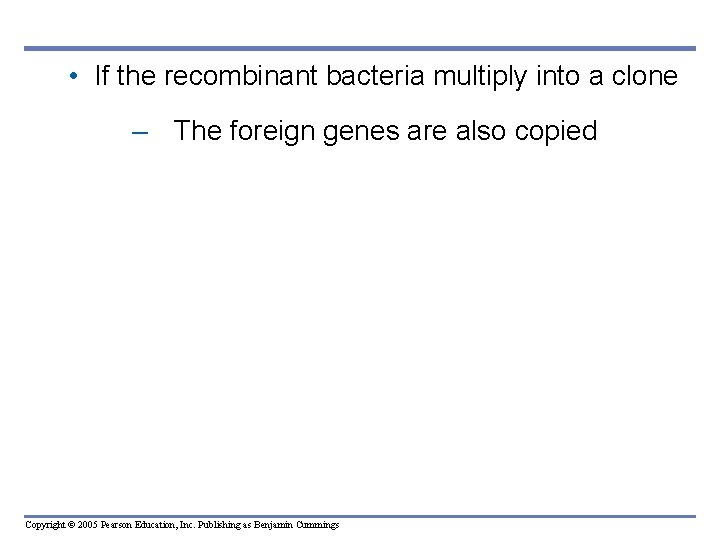 • If the recombinant bacteria multiply into a clone – The foreign genes • If the recombinant bacteria multiply into a clone – The foreign genes