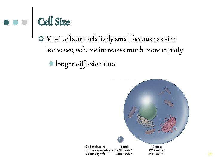 Cellular Structure 1 Cell Theory The cell theory
