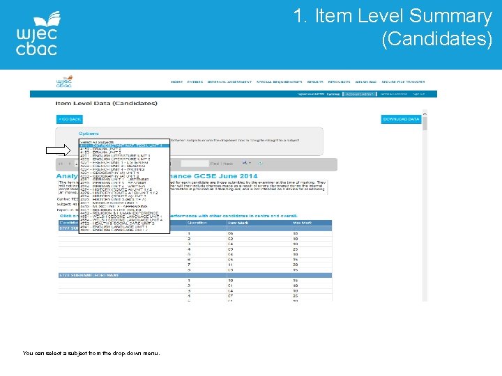 1. Item Level Summary (Candidates) You can select a subject from the drop-down menu.