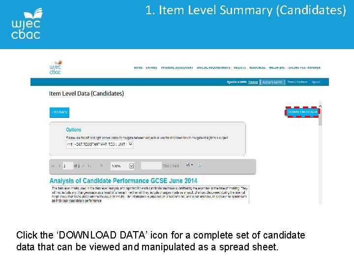 1. Item Level Summary (Candidates) Click the ‘DOWNLOAD DATA’ icon for a complete set