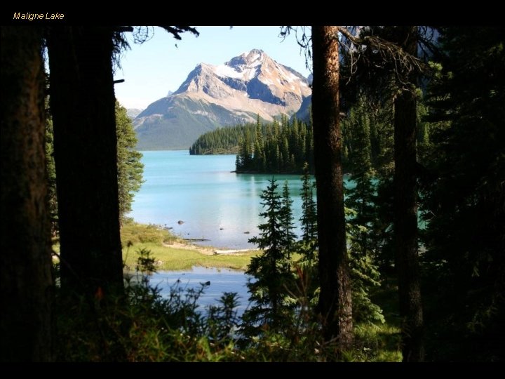 Maligne Lake 