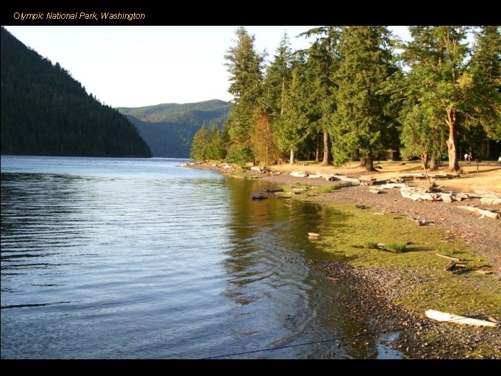 Olympic National Park, Washington 