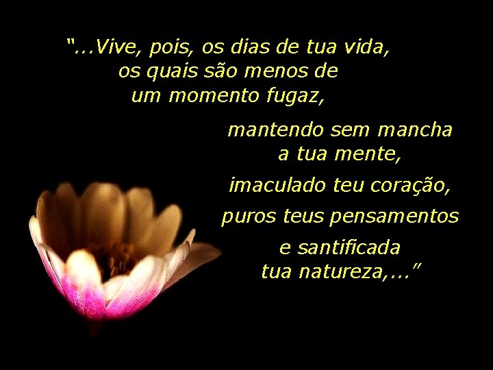 “. . . Vive, pois, os dias de tua vida, os quais são menos