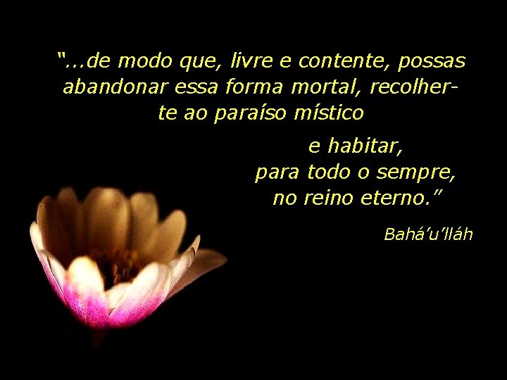 “. . . de modo que, livre e contente, possas abandonar essa forma mortal,